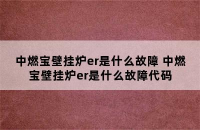 中燃宝壁挂炉er是什么故障 中燃宝壁挂炉er是什么故障代码